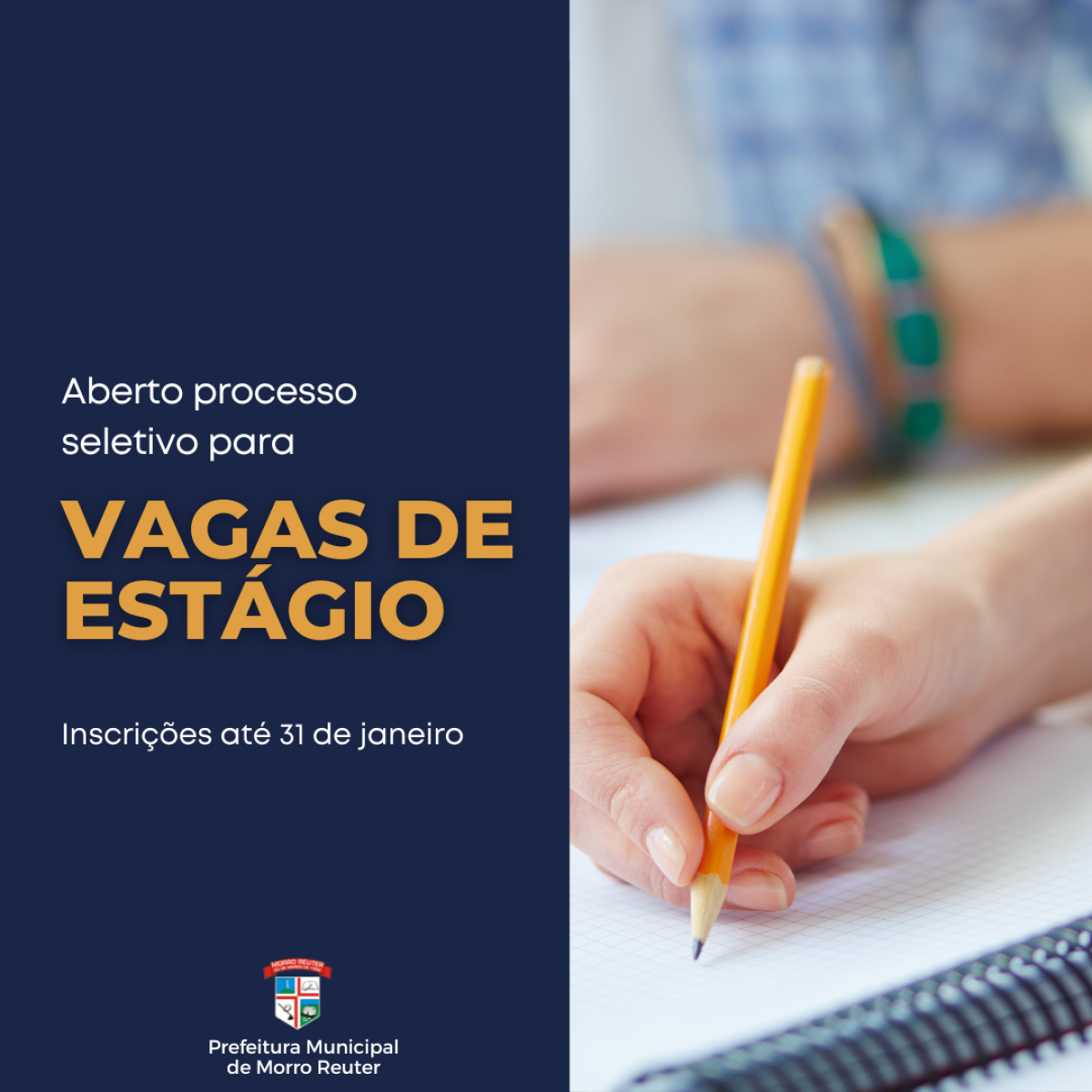 Morro Reuter tem oportunidades para estágio